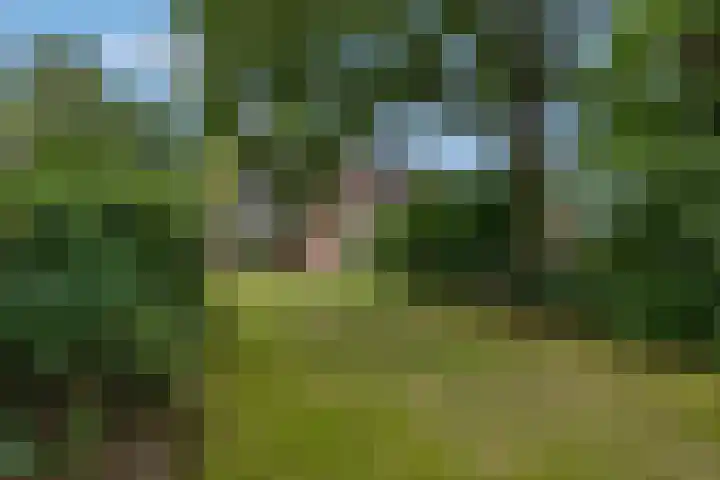 Juliana van Stolberglaan 11 Ede thumbnail 49