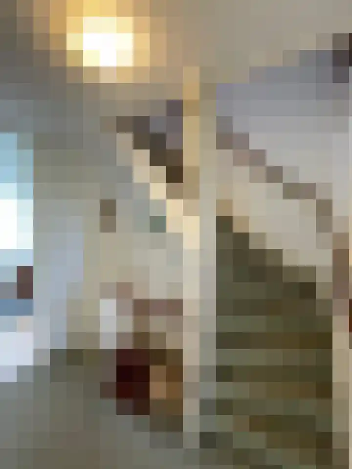 Juliana van Stolberglaan 12 Rozenburg thumbnail 10