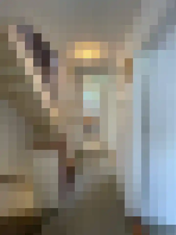 Juliana van Stolberglaan 12 Rozenburg thumbnail 11