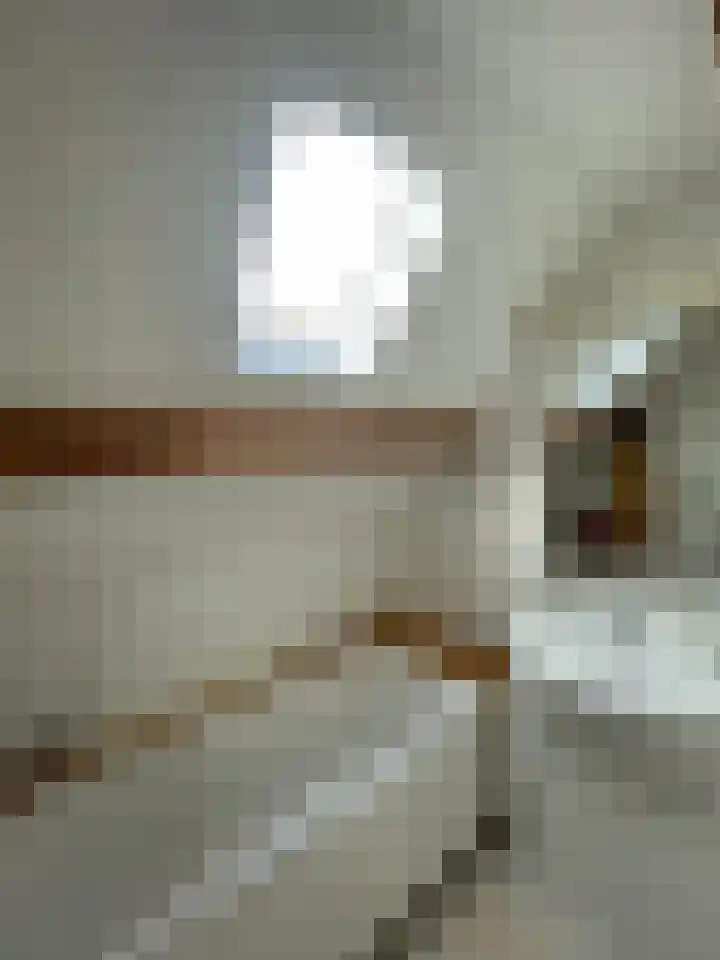 Juliana van Stolberglaan 12 Rozenburg thumbnail 19