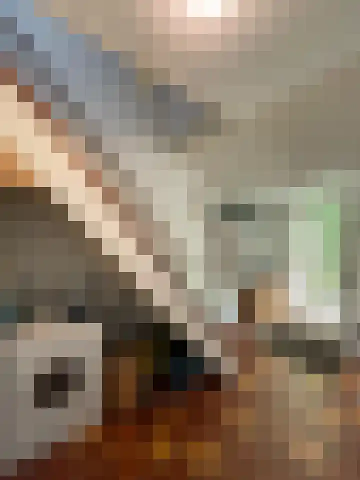 Juliana van Stolberglaan 12 Rozenburg thumbnail 4