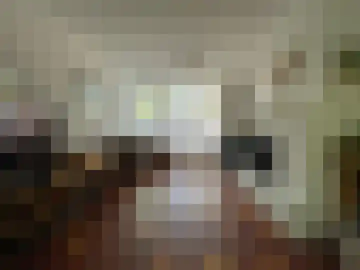 Juliana van Stolberglaan 12 Rozenburg thumbnail 5