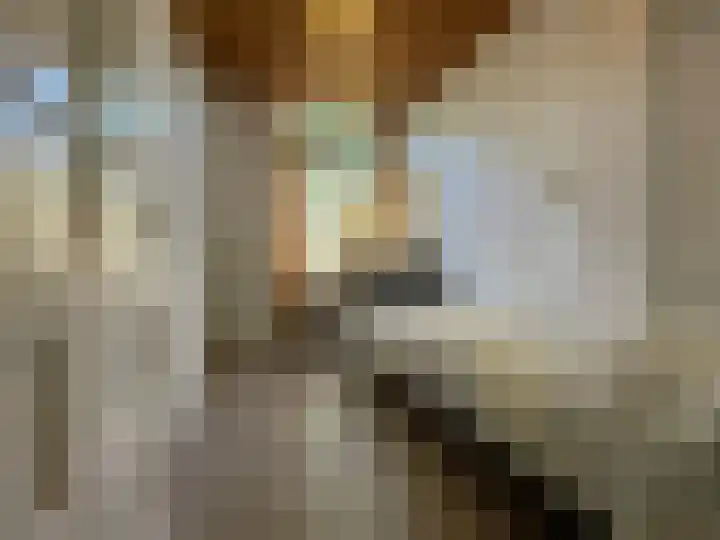 Juliana van Stolberglaan 12 Rozenburg thumbnail 8