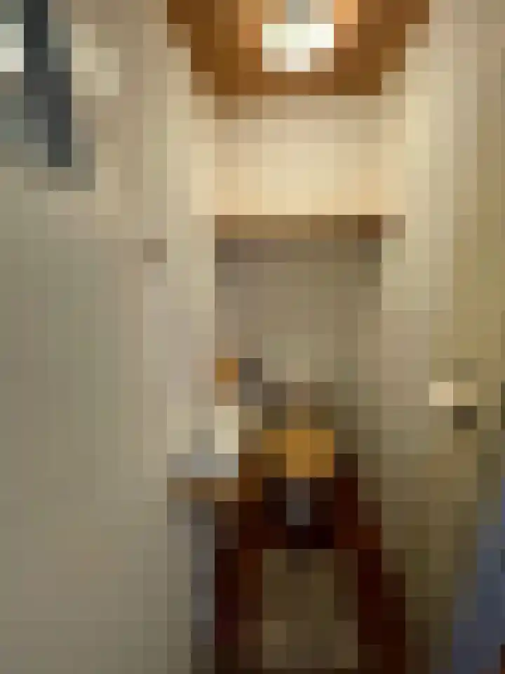 Juliana van Stolberglaan 12 Rozenburg thumbnail 9
