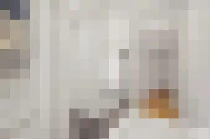 Juliana van Stolberglaan 157 Den Haag thumbnail 19