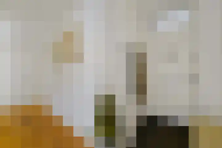 Juliana van Stolberglaan 163 Den Haag thumbnail 15