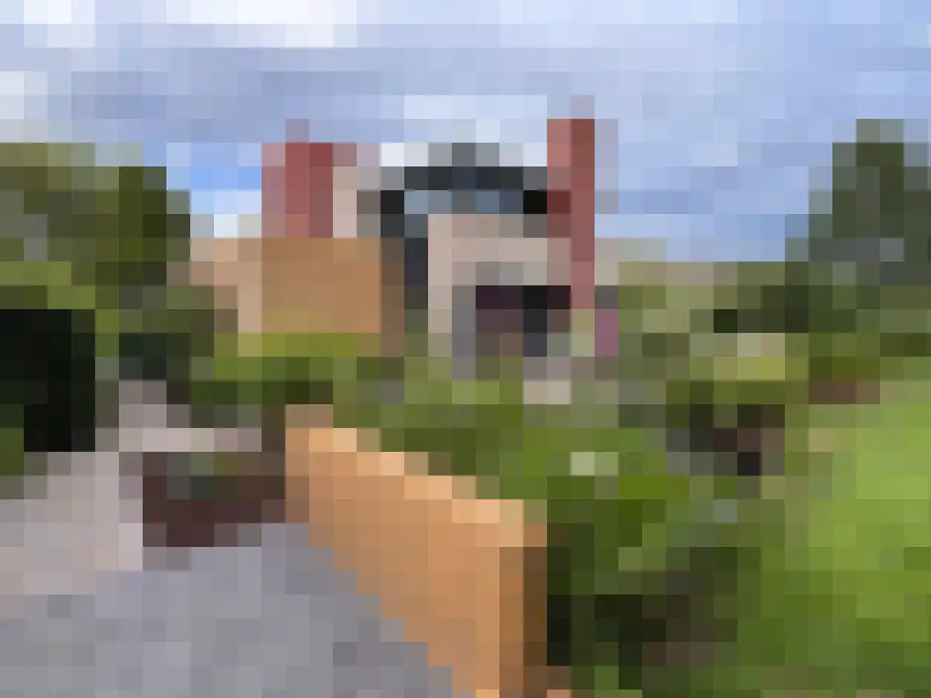 Juliana van Stolberglaan 18 Zierikzee thumbnail 31