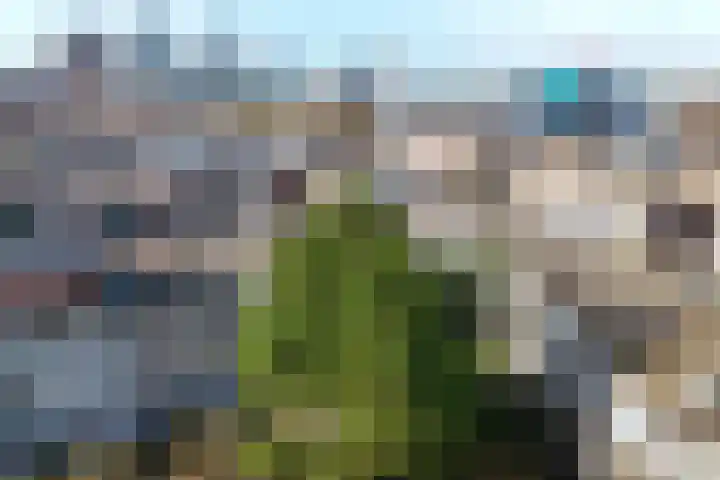 Juliana van Stolberglaan 183 in Den Haag