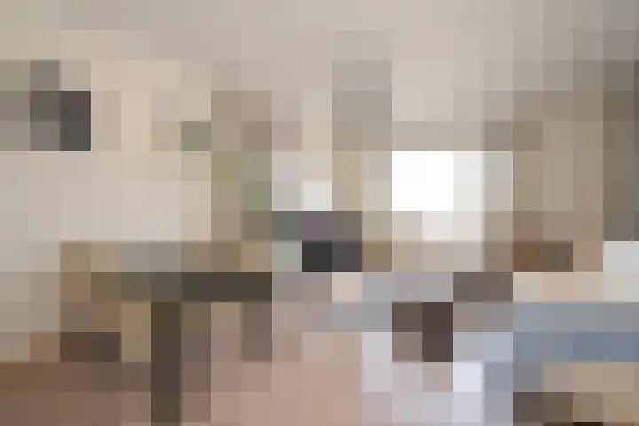 Juliana van Stolberglaan 183 Den Haag thumbnail 5