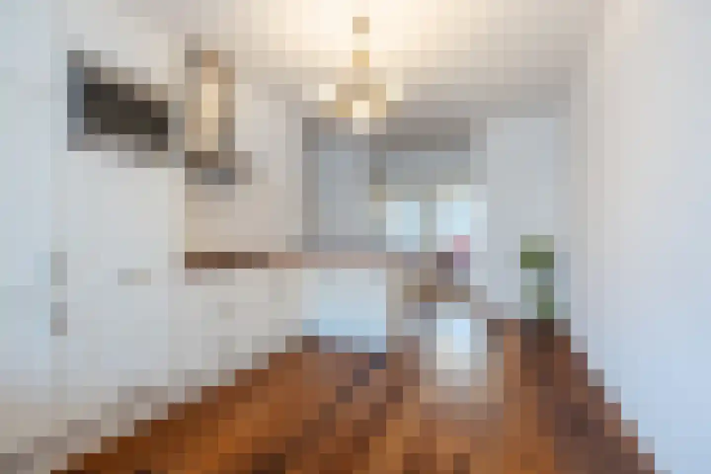 Juliana van Stolberglaan 194 Den Haag thumbnail 14