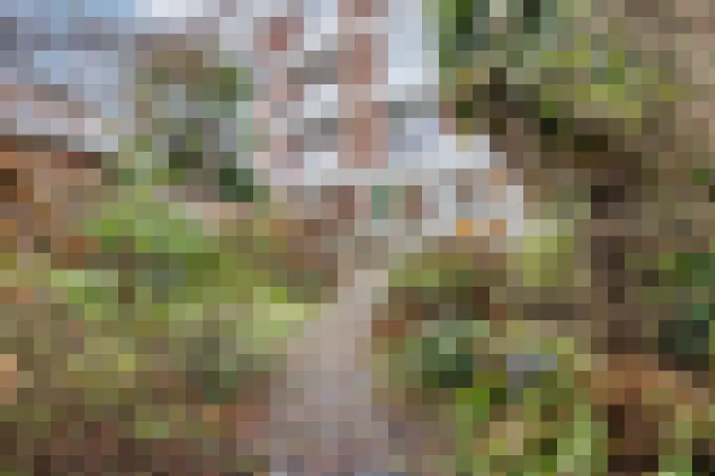 Juliana van Stolberglaan 194 Den Haag thumbnail 23