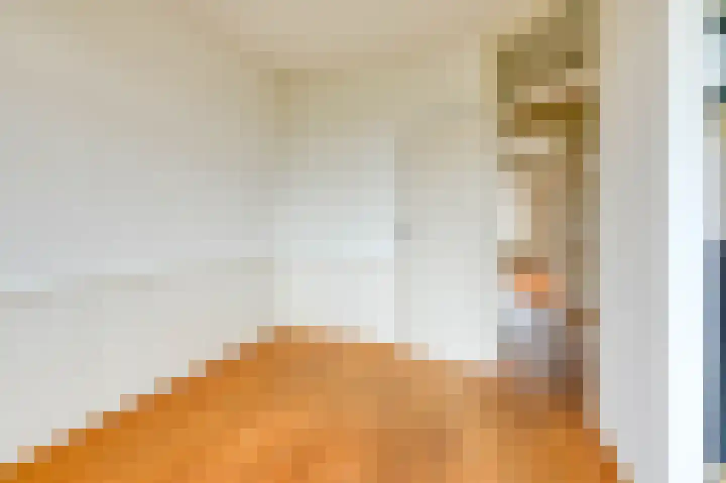 Juliana van Stolberglaan 197 Den Haag thumbnail 38