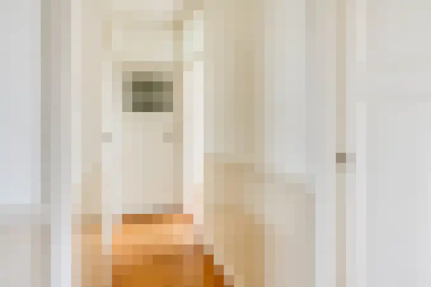 Juliana van Stolberglaan 197 Den Haag thumbnail 42