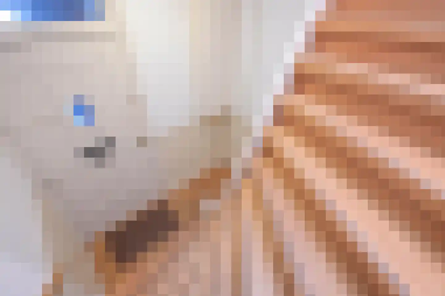 Juliana van Stolberglaan 197 Den Haag thumbnail 7