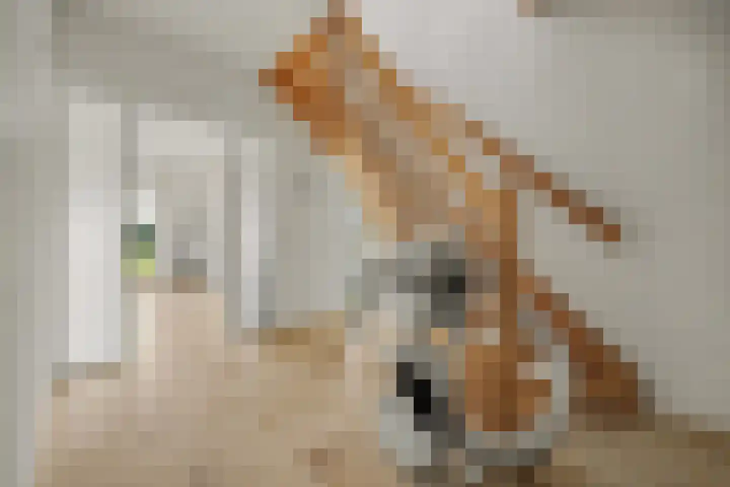 Juliana van Stolberglaan 20 Zierikzee thumbnail 12