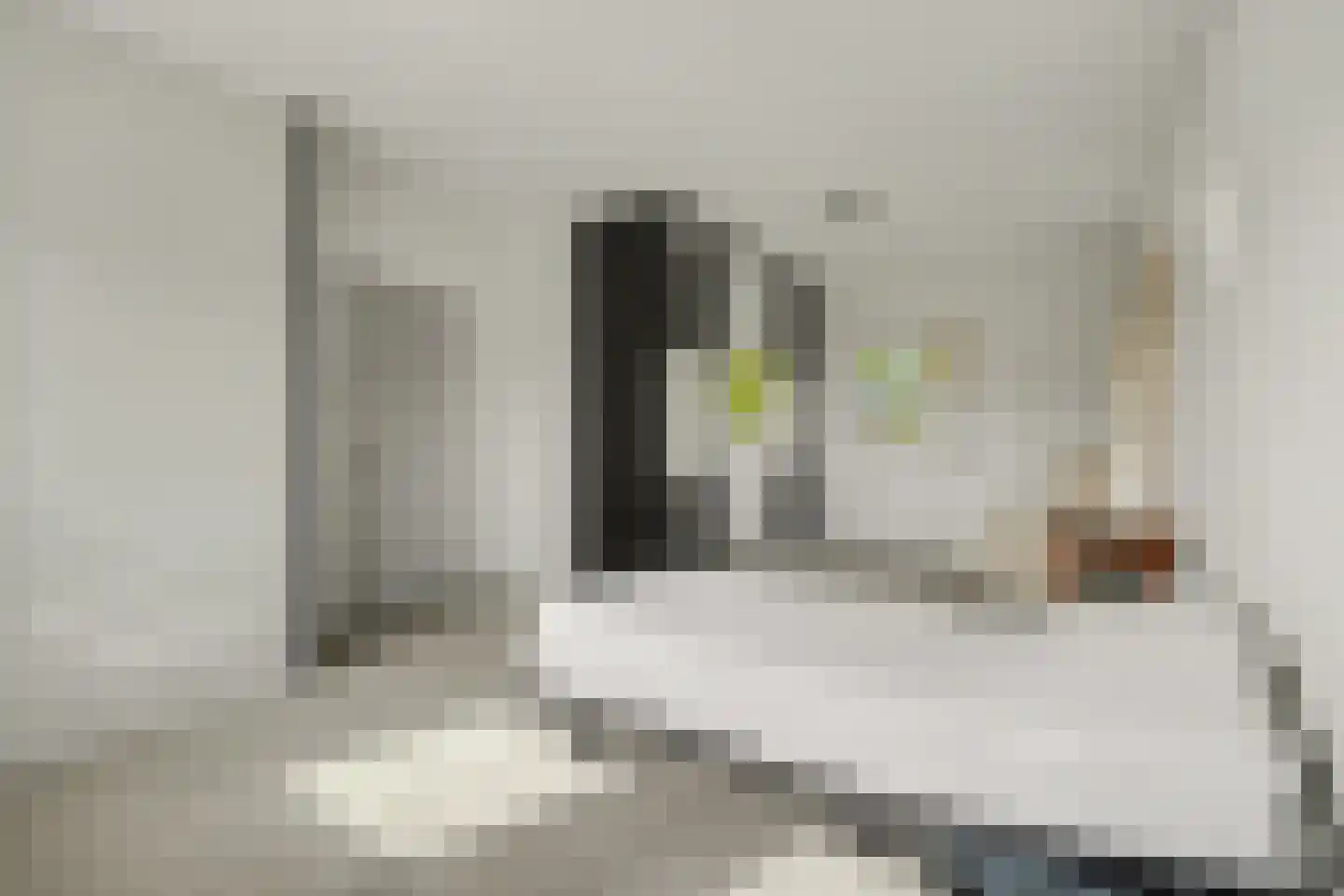 Juliana van Stolberglaan 20 Zierikzee thumbnail 31