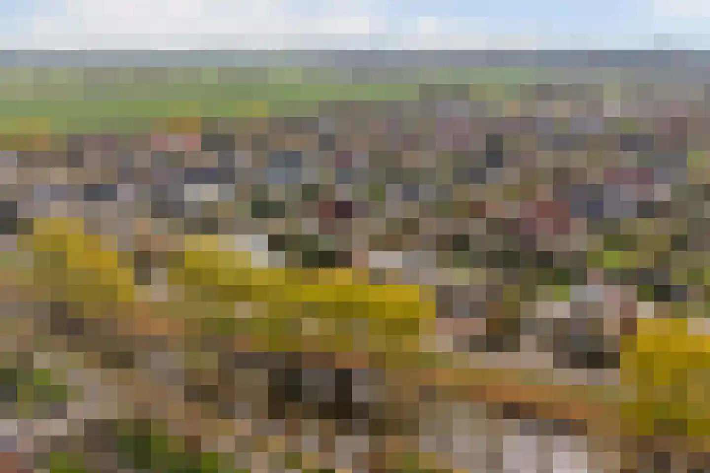 Juliana van Stolberglaan 20 Zierikzee thumbnail 47
