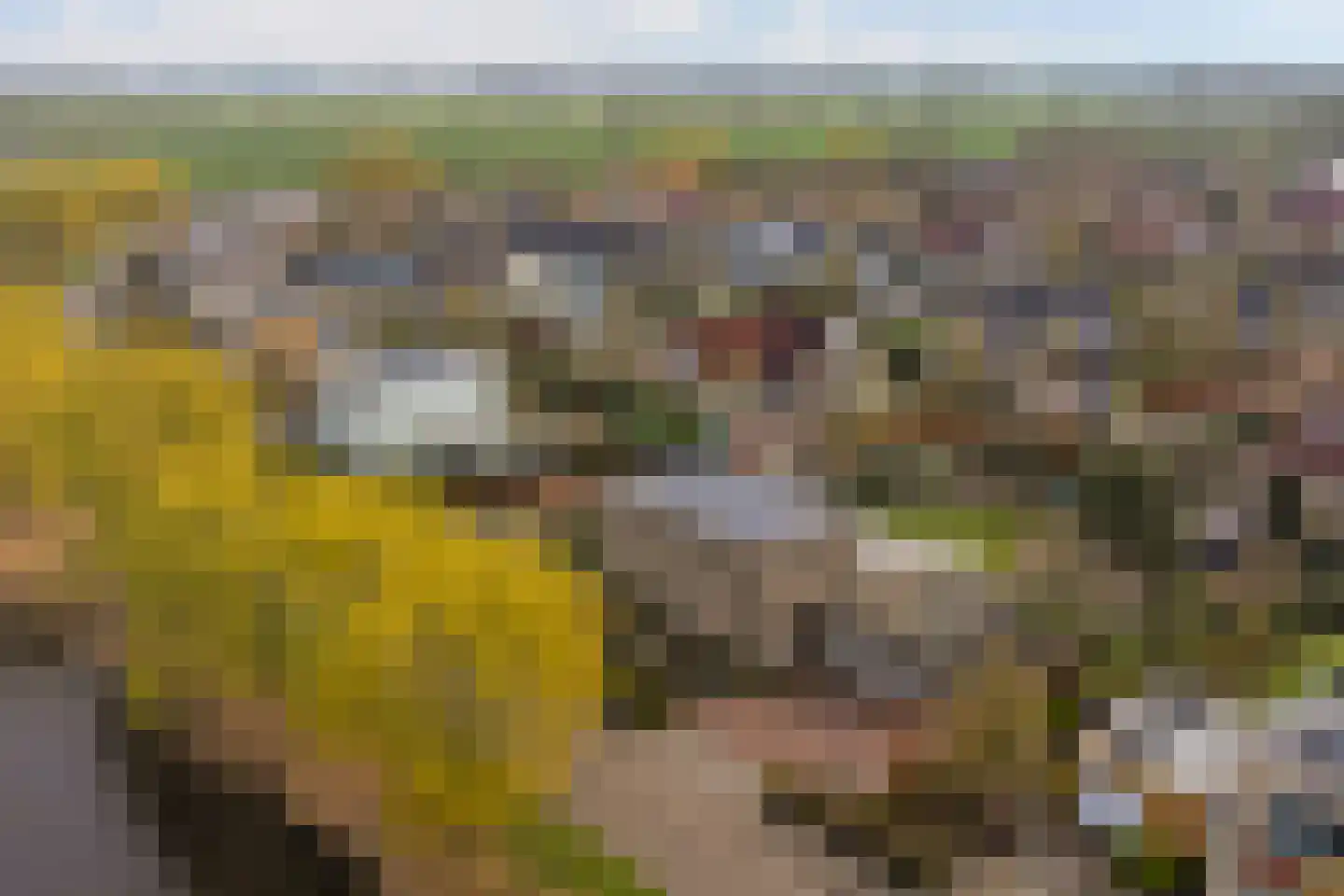 Juliana van Stolberglaan 20 Zierikzee thumbnail 5