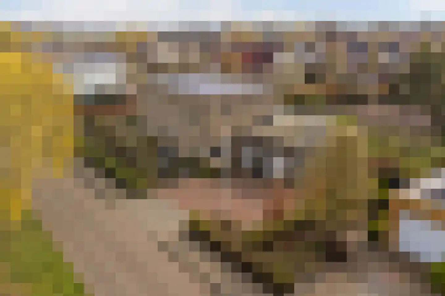 Juliana van Stolberglaan 20 Zierikzee thumbnail 7