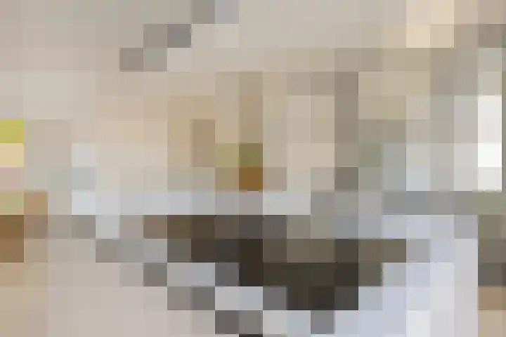Juliana van Stolberglaan 213 Den Haag thumbnail 12