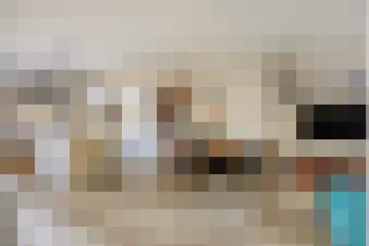 Juliana van Stolberglaan 213 Den Haag thumbnail 13