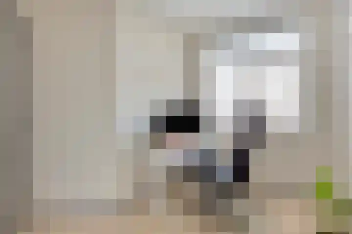 Juliana van Stolberglaan 213 Den Haag thumbnail 25