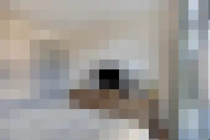 Juliana van Stolberglaan 213 Den Haag thumbnail 29