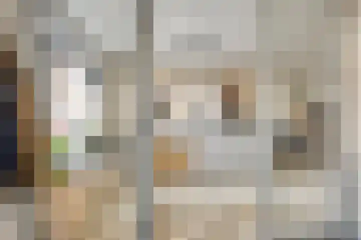 Juliana van Stolberglaan 213 Den Haag thumbnail 6