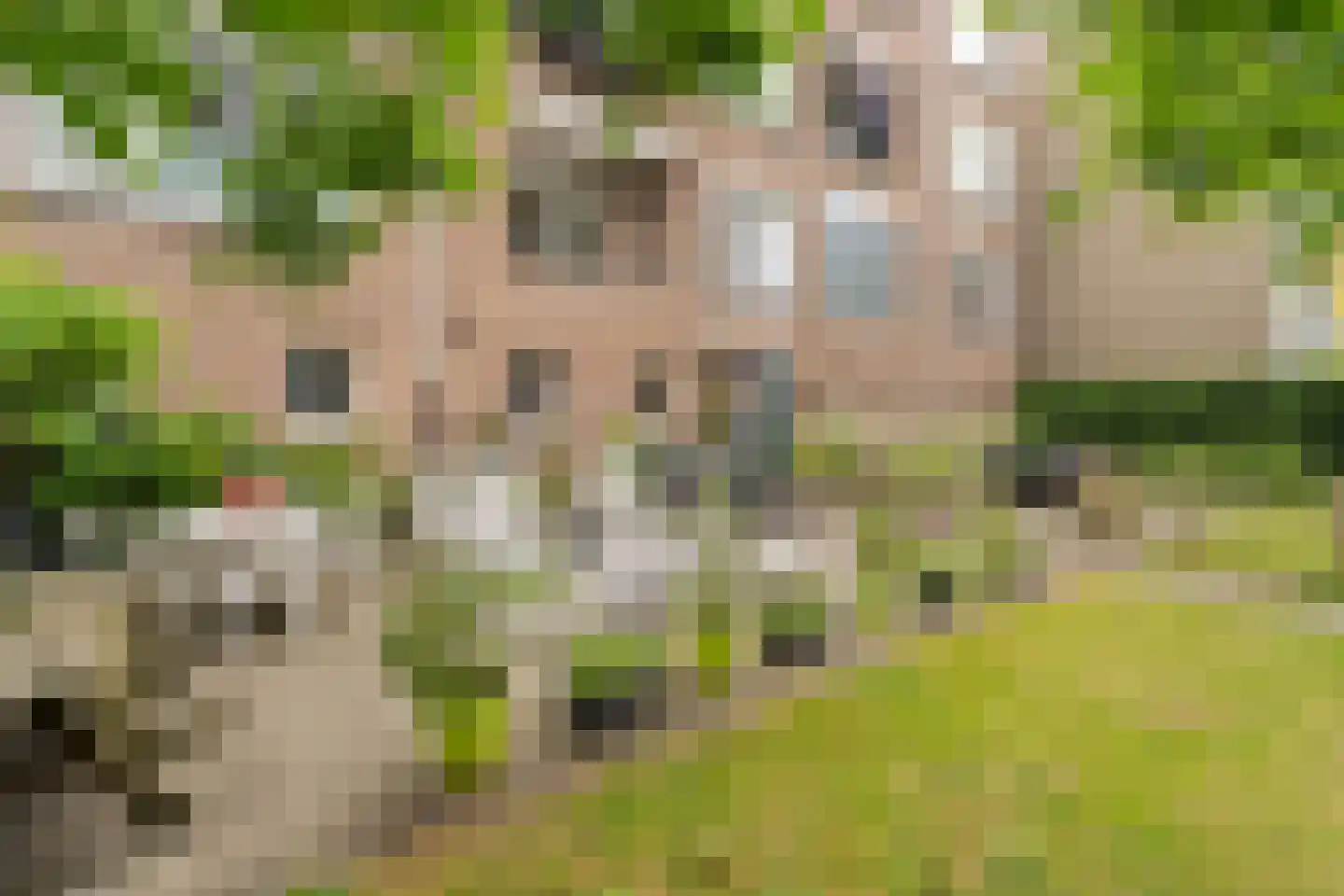 Juliana van Stolberglaan 22 Waddinxveen thumbnail 26
