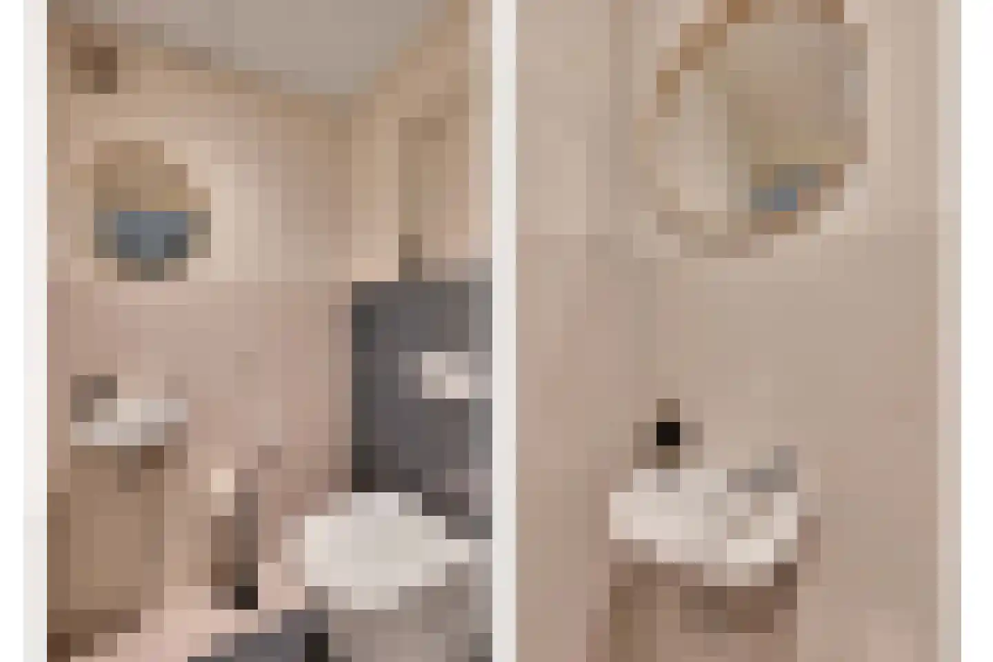 Juliana van Stolberglaan 23 Den Haag thumbnail 13