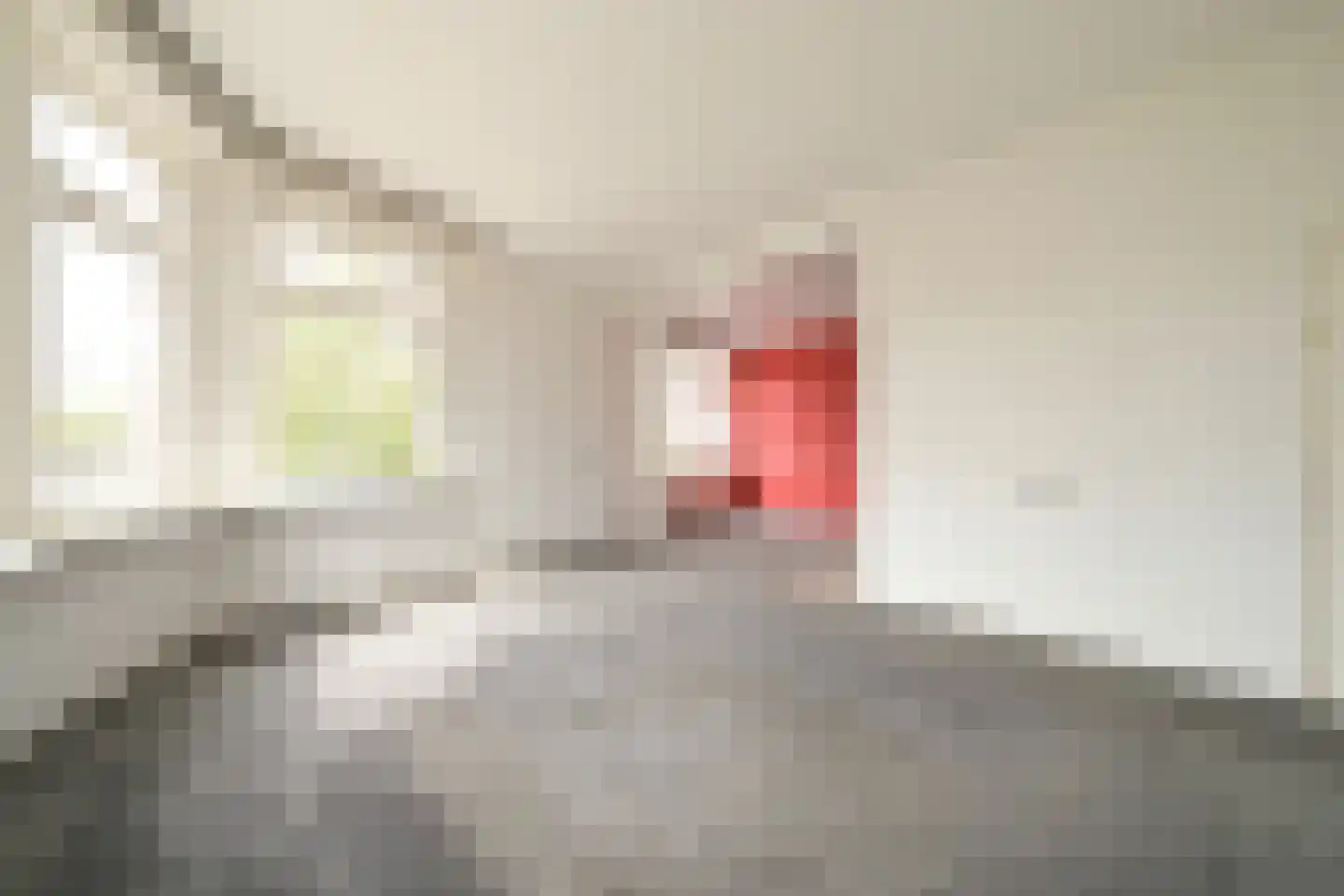 Juliana van Stolberglaan 232 Den Haag thumbnail 6