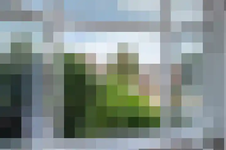 Juliana van Stolberglaan 244 Den Haag thumbnail 18