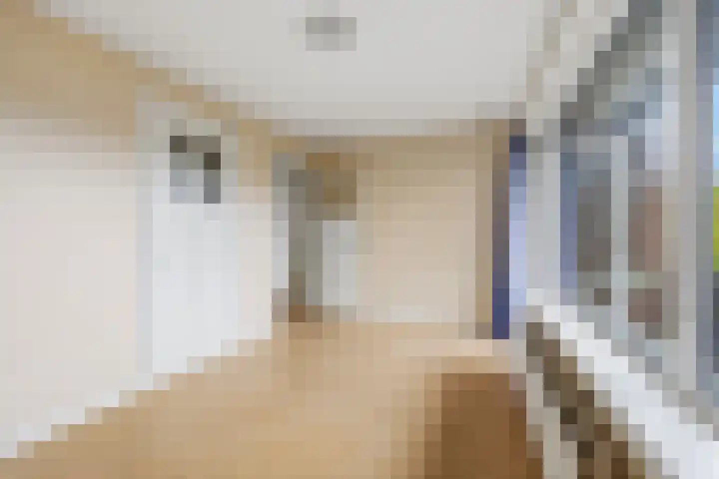 Juliana van Stolberglaan 245 Den Haag thumbnail 19