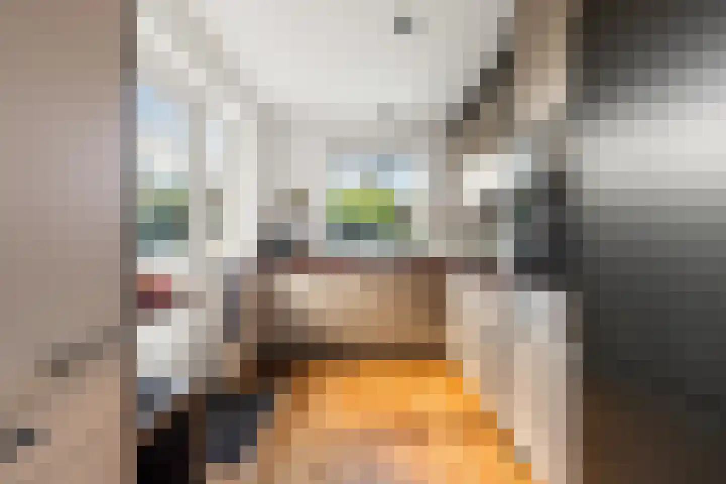 Juliana van Stolberglaan 26 Naarden thumbnail 14