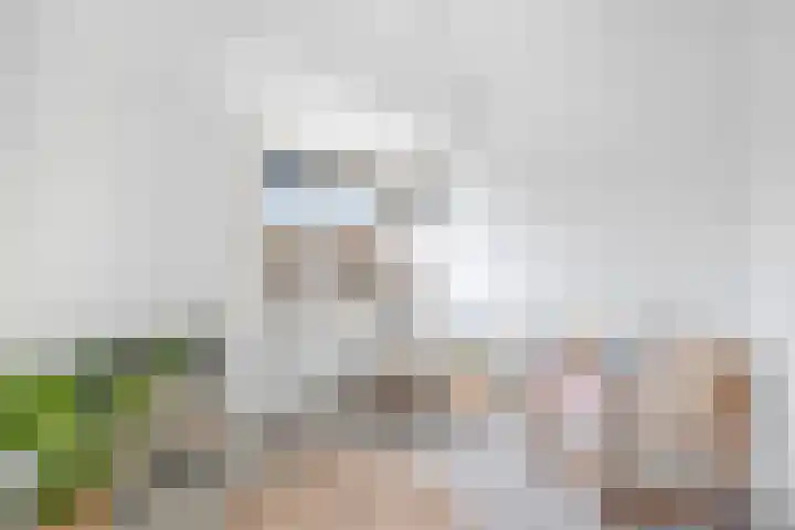 Juliana van Stolberglaan 261 Den Haag thumbnail 23