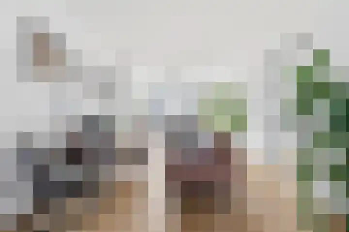 Juliana van Stolberglaan 278 Den Haag thumbnail 10