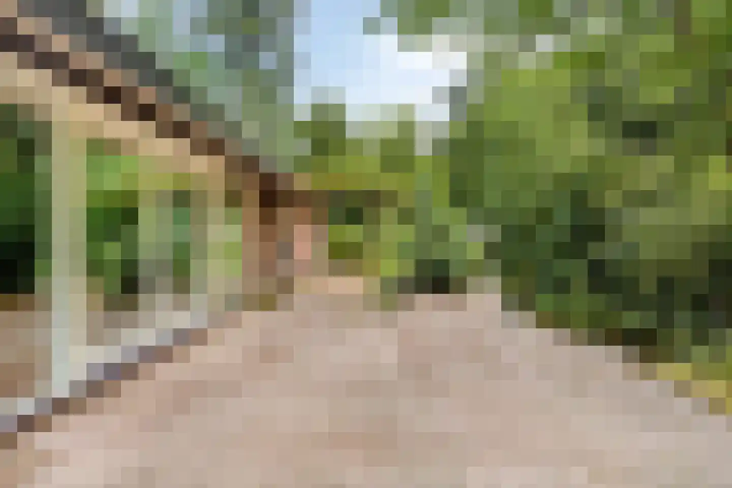 Juliana van Stolberglaan 28 Eerbeek thumbnail 32