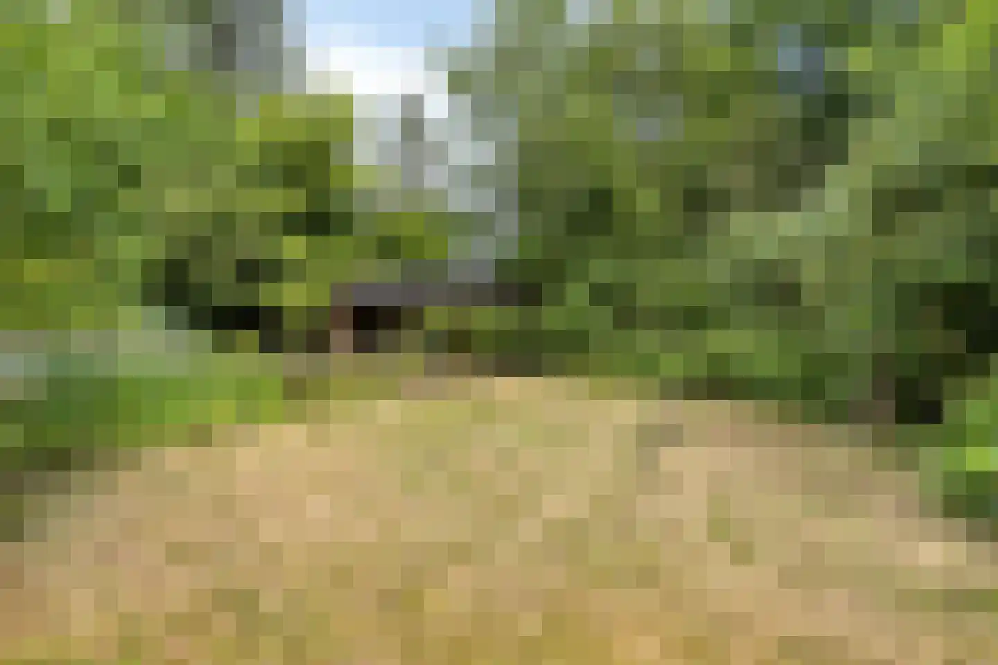 Juliana van Stolberglaan 28 Eerbeek thumbnail 35