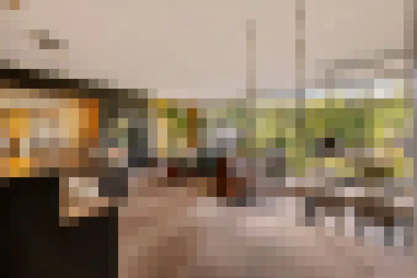 Juliana van Stolberglaan 28 Naarden thumbnail 17