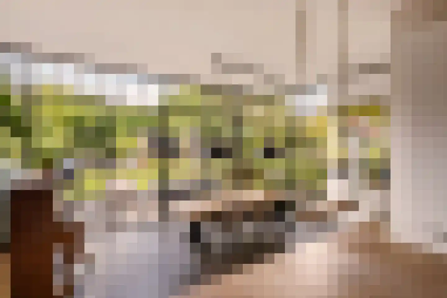 Juliana van Stolberglaan 28 Naarden thumbnail 24