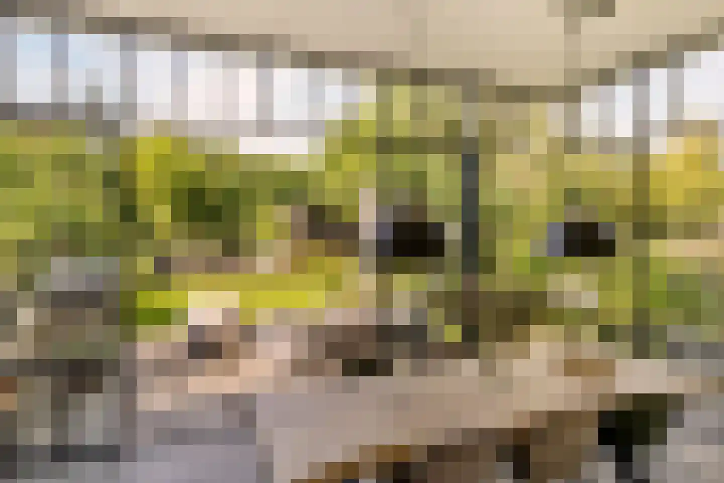 Juliana van Stolberglaan 28 Naarden thumbnail 29