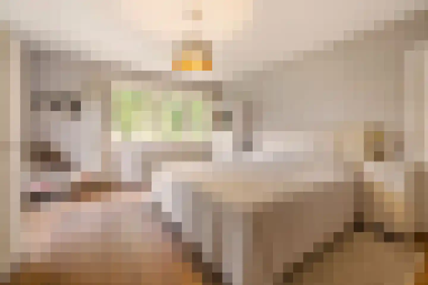 Juliana van Stolberglaan 28 Naarden thumbnail 34