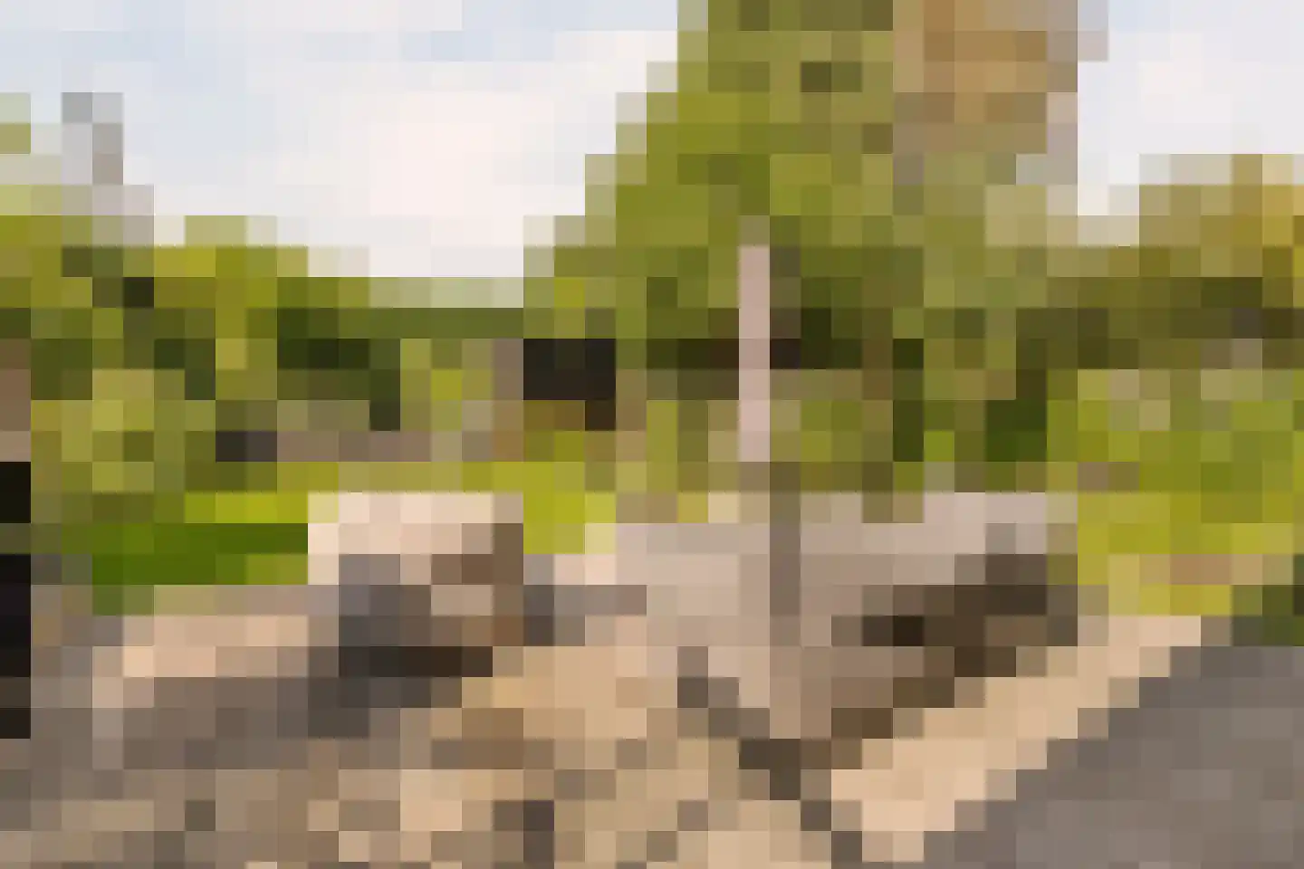 Juliana van Stolberglaan 28 Naarden thumbnail 55