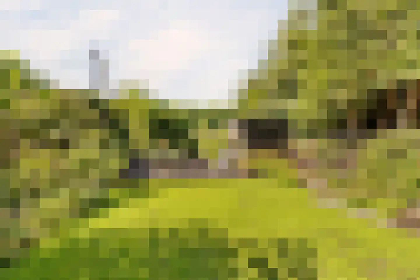 Juliana van Stolberglaan 28 Naarden thumbnail 66