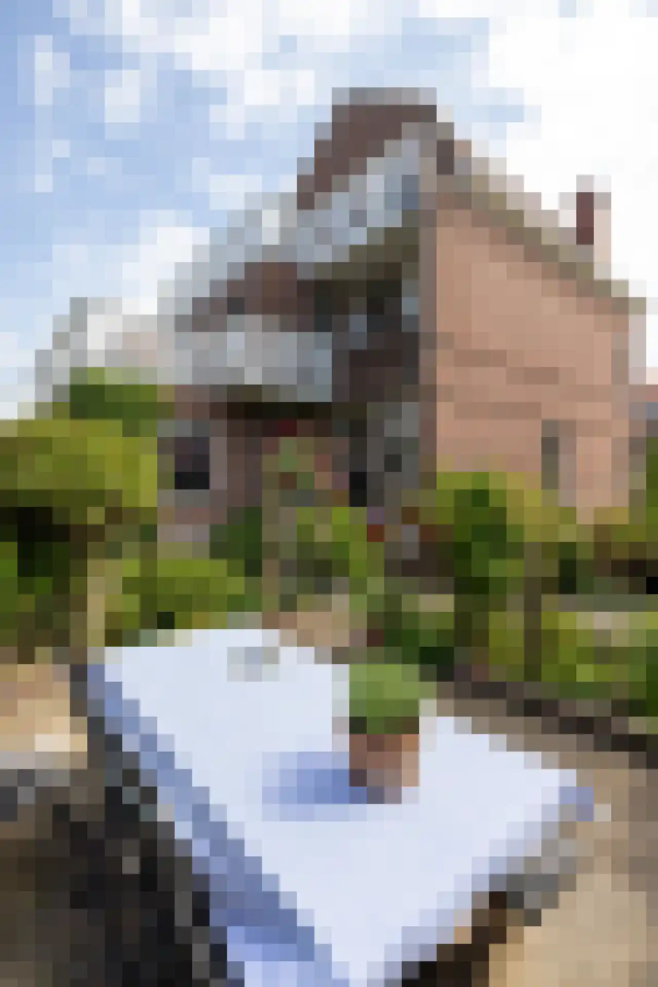 Juliana van Stolberglaan 28 Rotterdam thumbnail 32