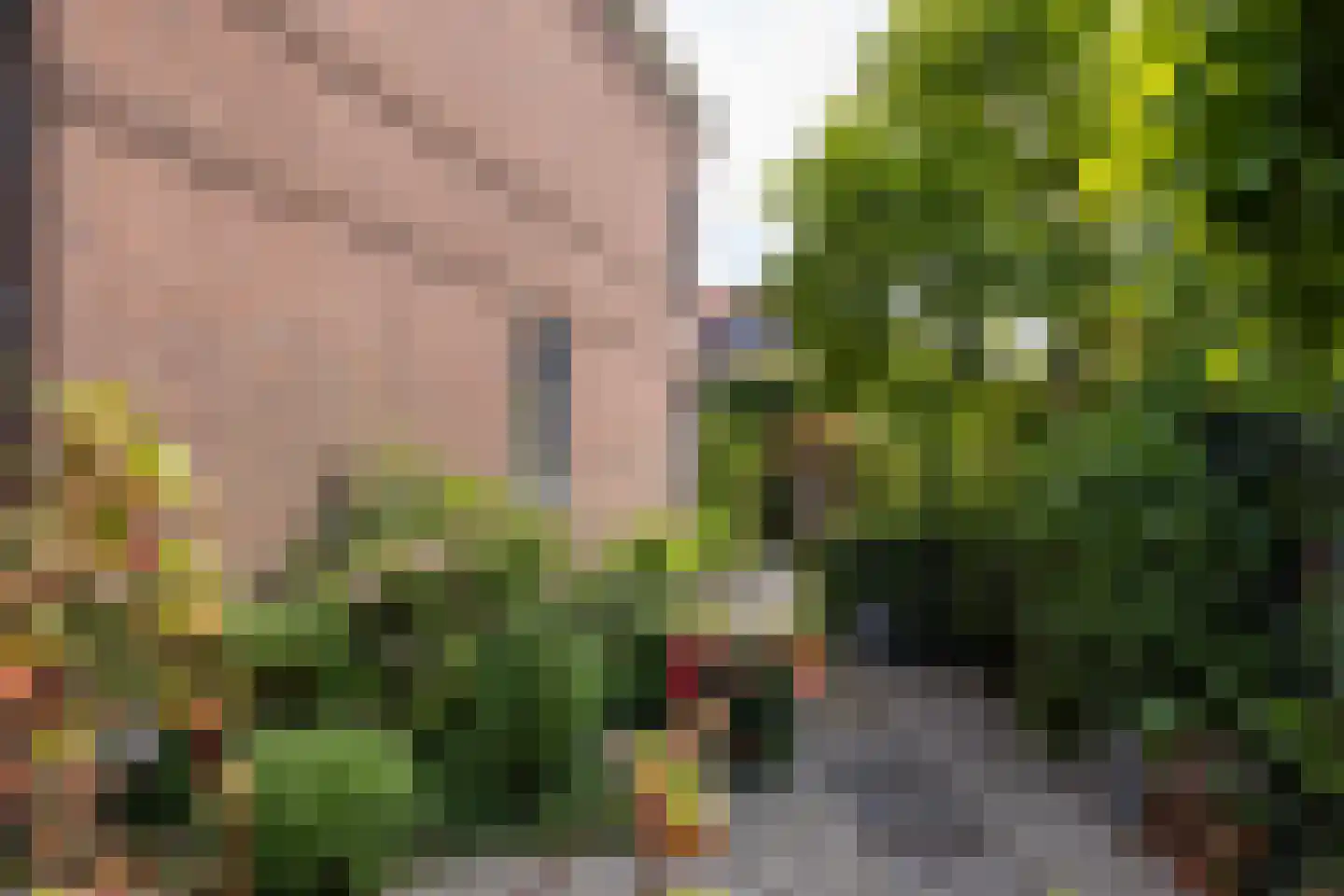 Juliana van Stolberglaan 28 Rotterdam thumbnail 33