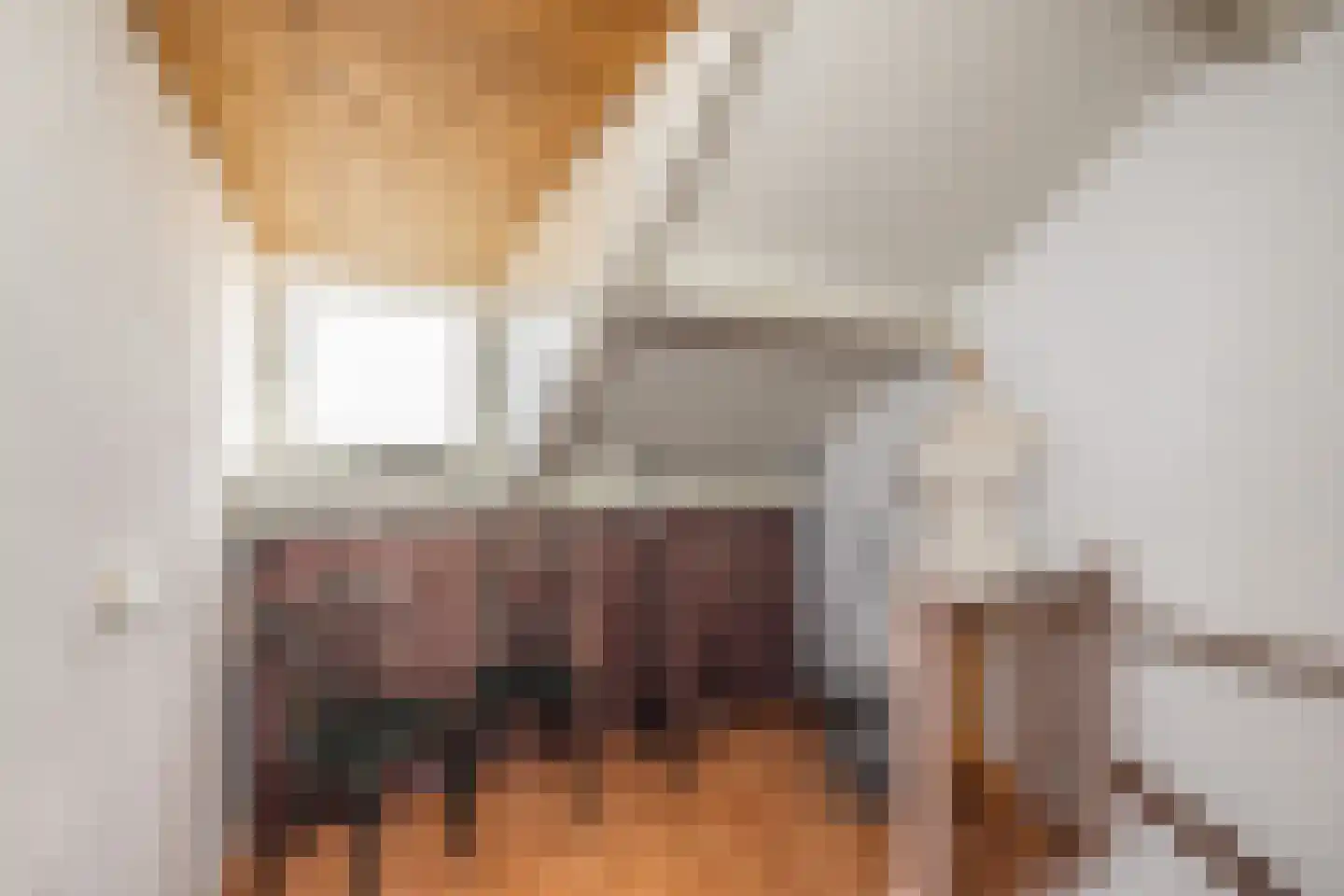Juliana van Stolberglaan 3 Hillegom thumbnail 30