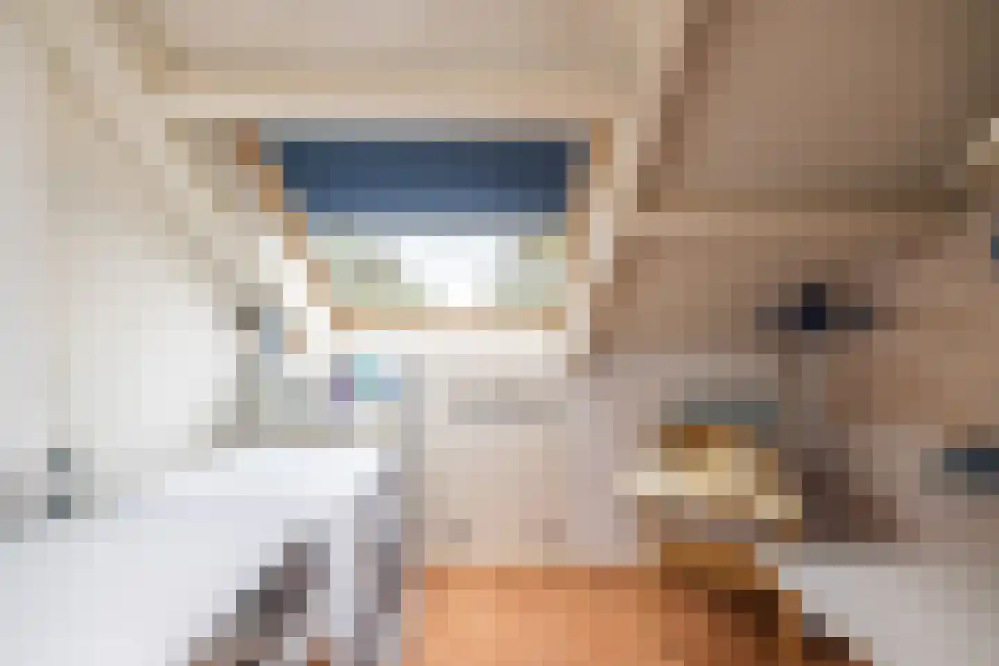 Juliana van Stolberglaan 3 Hillegom thumbnail 32