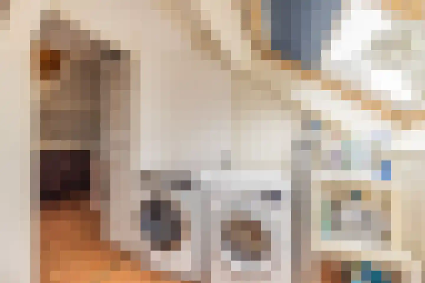 Juliana van Stolberglaan 3 Hillegom thumbnail 33