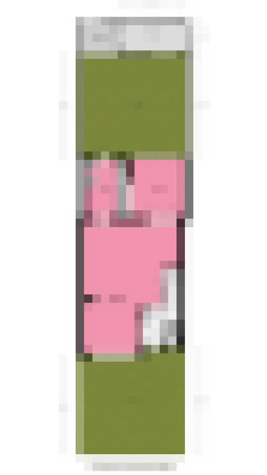 Juliana van Stolberglaan 3 Hillegom thumbnail 45